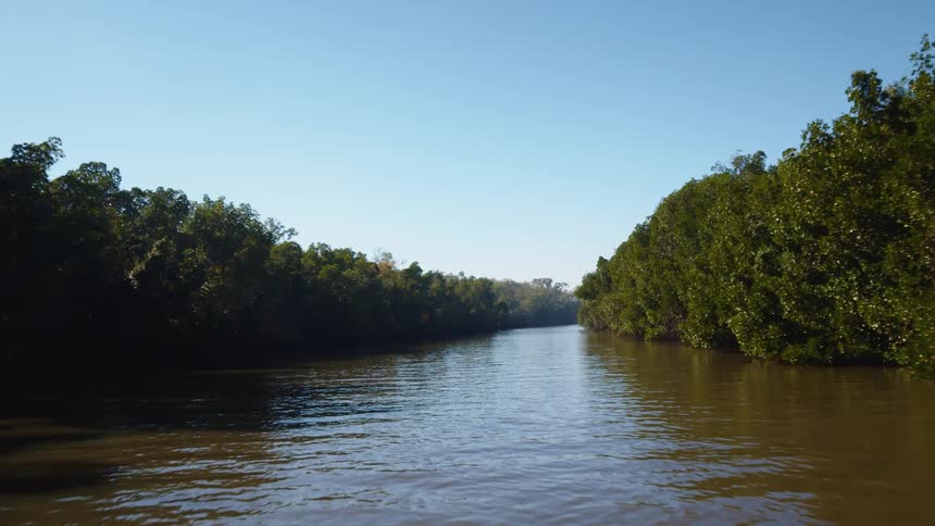 A murky river is surrounded by lush trees on both sides of its bank