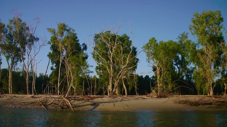 Rippling water reflects trees dotting shore under blue sky