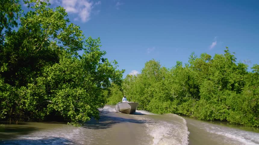 A person drives a boat along a tight river space surrounded by trees