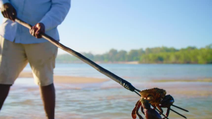 A man spear fishing catches a crab