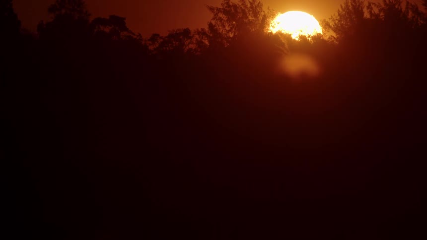 Trees are silhouetted against the sunset and the red sky