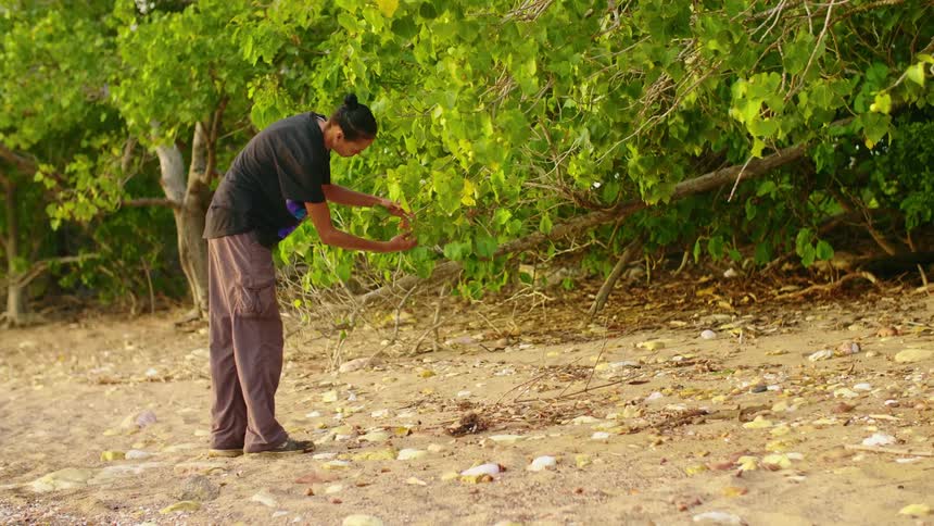 A woman uses her hands to examine the fruit on a low hanging branch on a tree