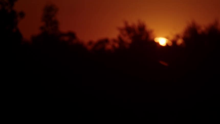 The sun sets on the horizon and trees are silhouetted against the red sky