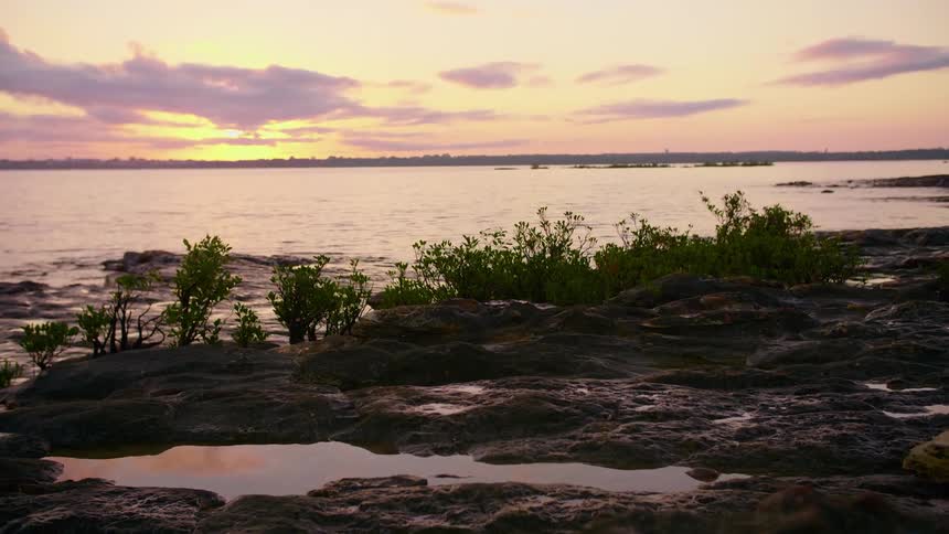 The edge of a cliff over the ocean is lined with trees