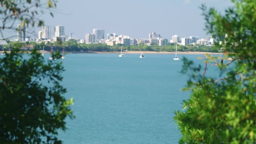 Anchored sailboats are floating on a large lake with a large citys skyline in the background