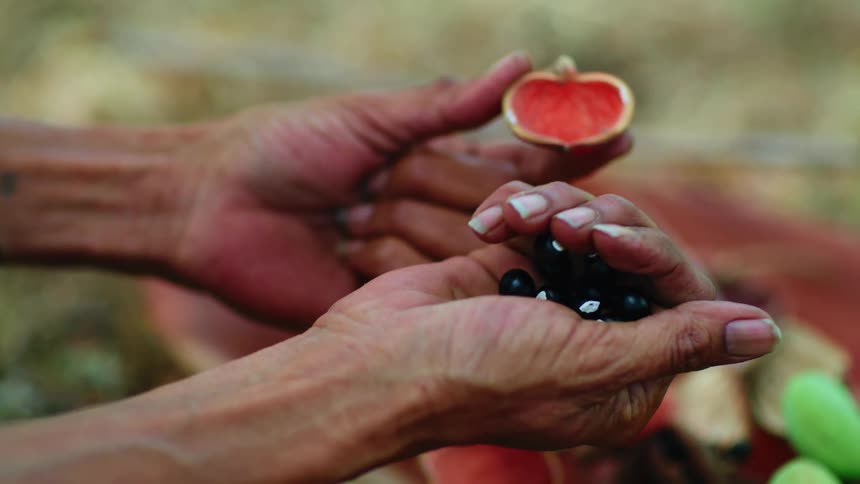A person holding fruits and closing their hand