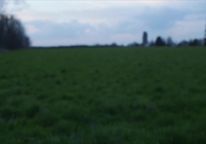 Man with a cap and a black t shirt does burpees on the green grass in a field at dusk