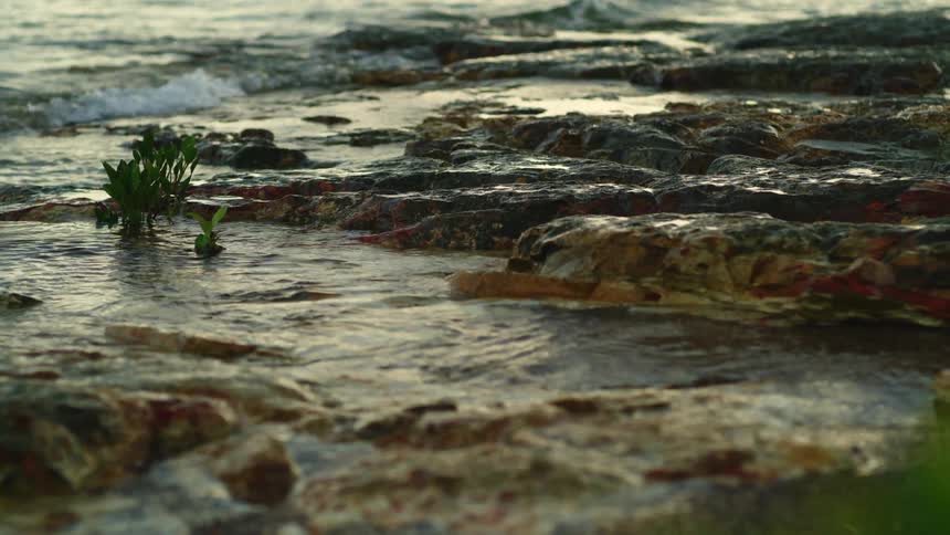 Water flowing onto a rocky shoreline