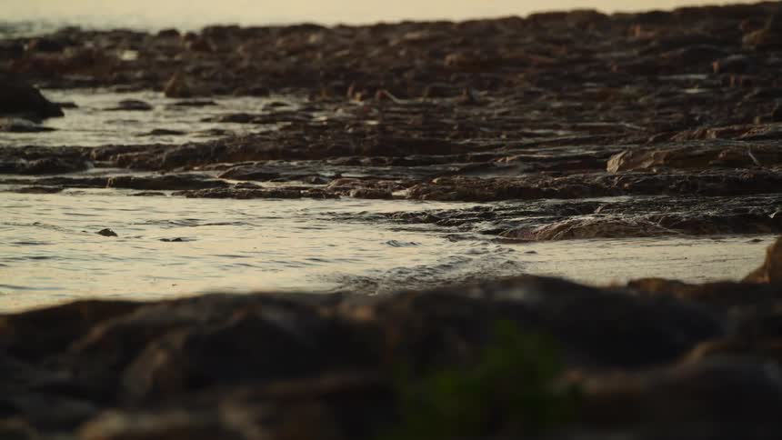 Waves crash against rocky shore stretching toward horizon