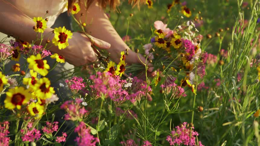 A woman is cutting flowers and making a bouquet