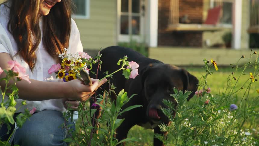 A woman in her back yard cuts fresh flowers and holds one out to her dog to smell