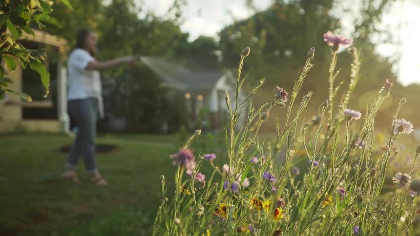 A young woman sprays the flowers in her front yard with a water hose