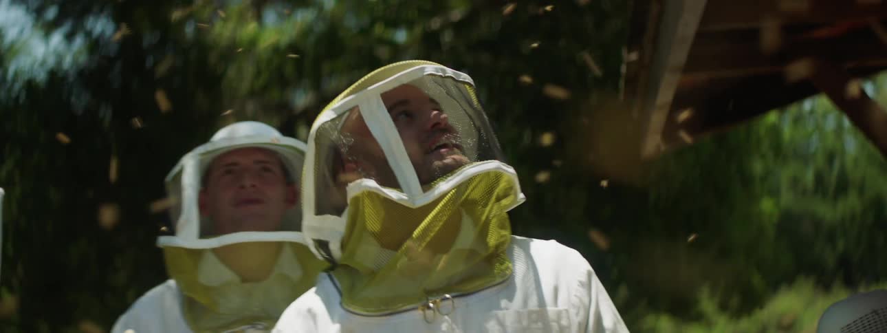 A group of people standing outside looking at bees