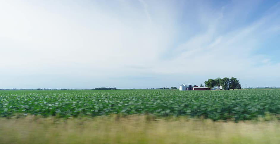 A barn and silo on a rural farm on a summer day