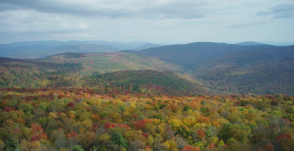 Fall