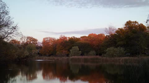 Trees surround a rippling lake on an autumn morning
