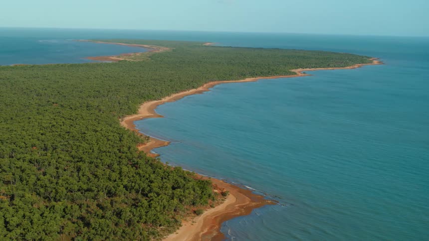 Forest occupies peninsula stretching toward the horizon