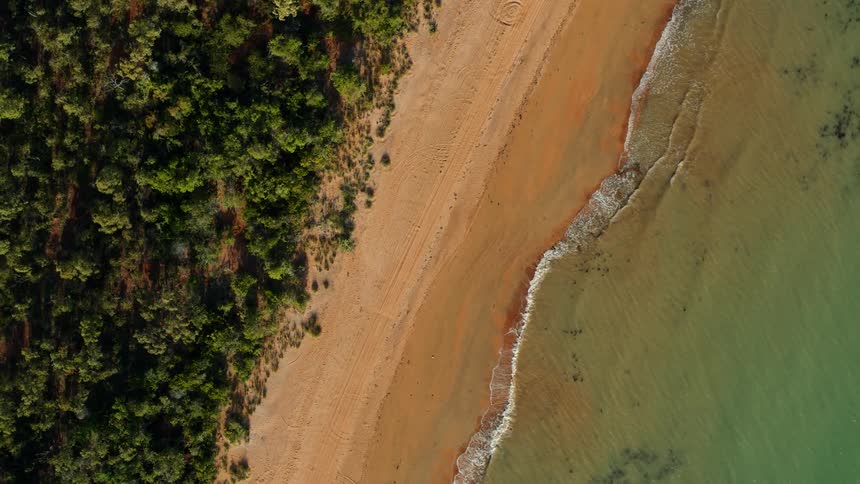 Aerial view of ocean waves break against the beach next to the forest