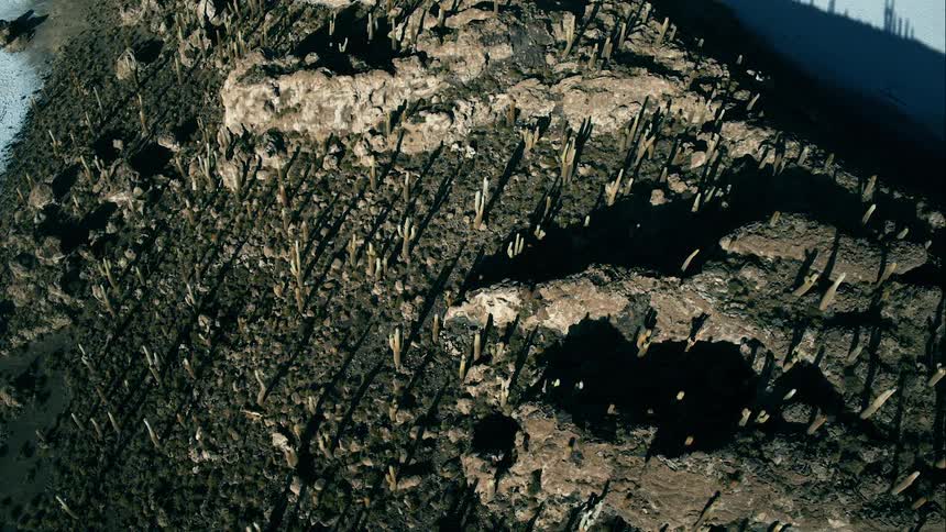 Rocky hills stands among scrub and vegetation