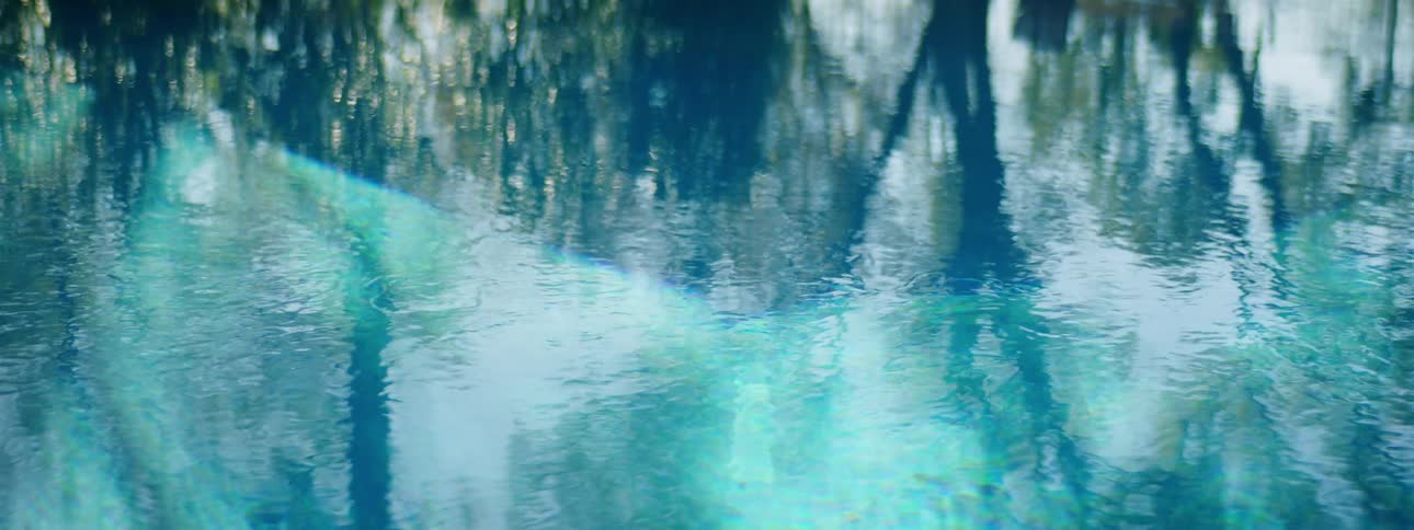 Trees reflecting in a lake