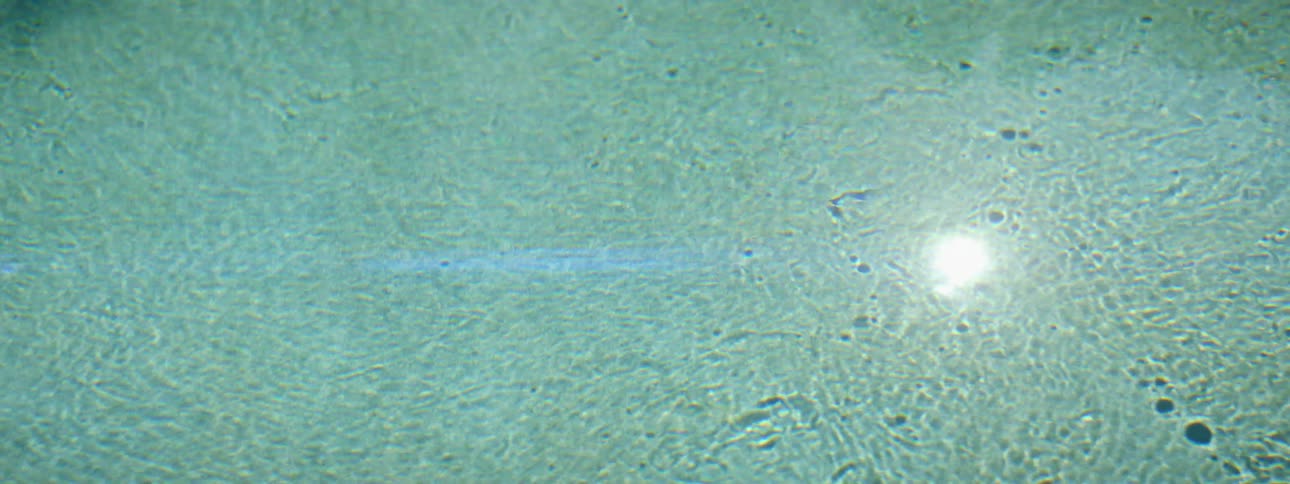 Surface of water reflects sun rays