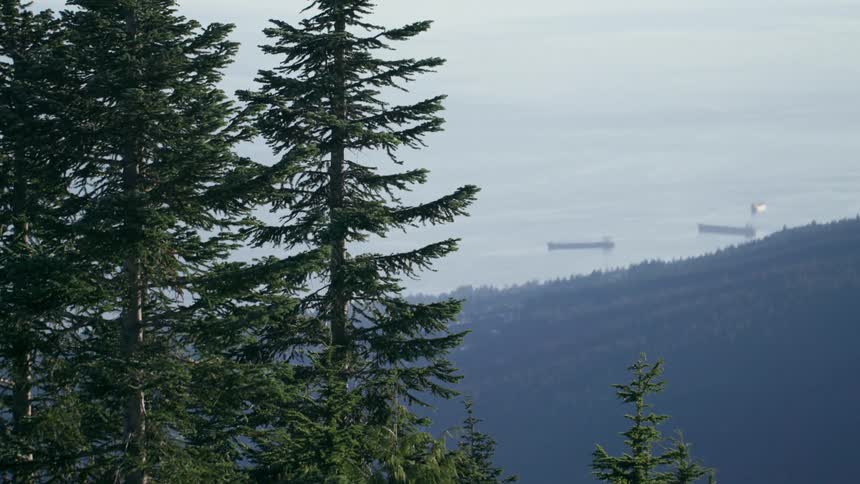 Two large boats are stopped by the shore below