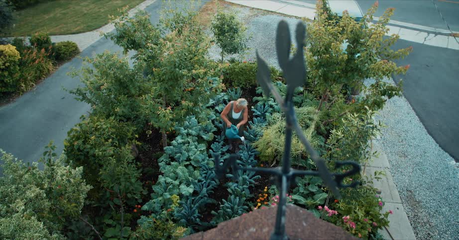 A woman stands in a garden of trees and bushes watering them with a watering can