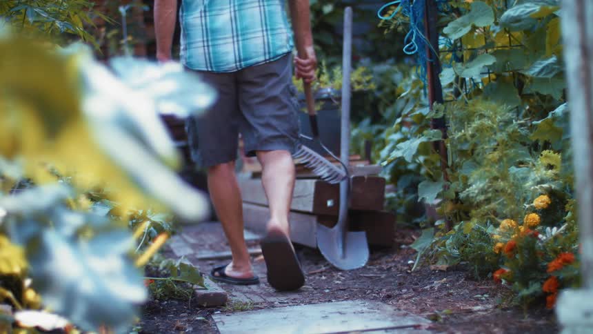 A person walking in a garden