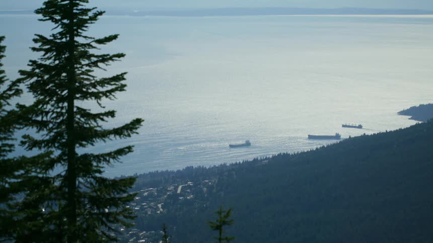 Large ships are by the coastal town
