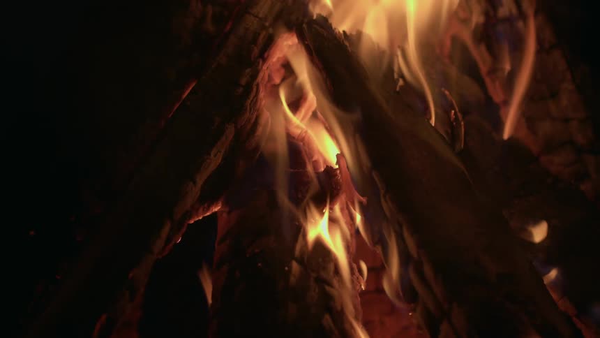 Wood burning in a campfire at night