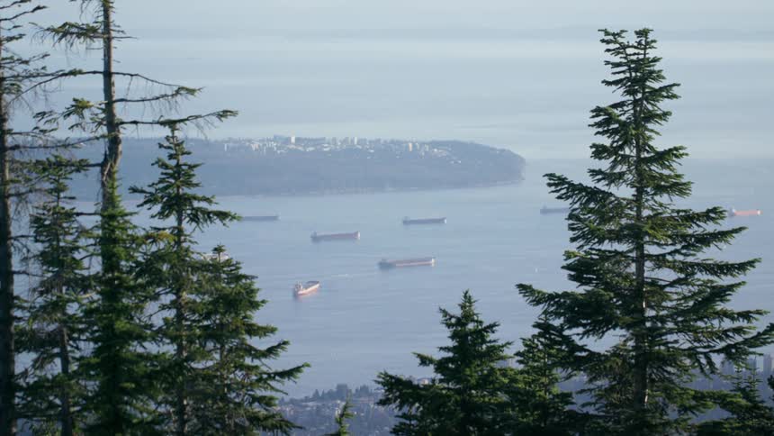 Large ships are docked off shore