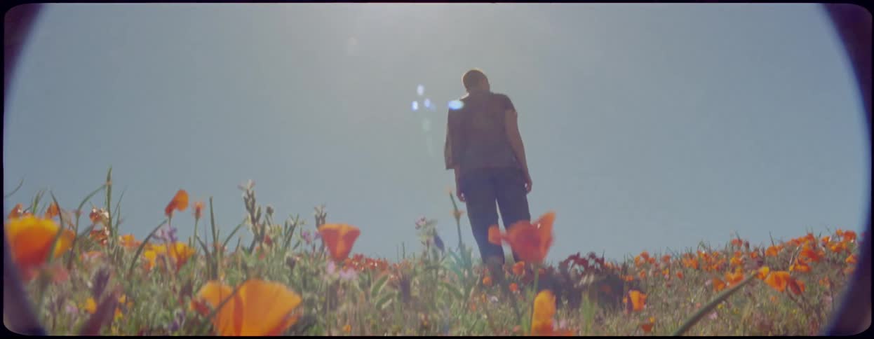 A person is standing in the flowers on a windy day