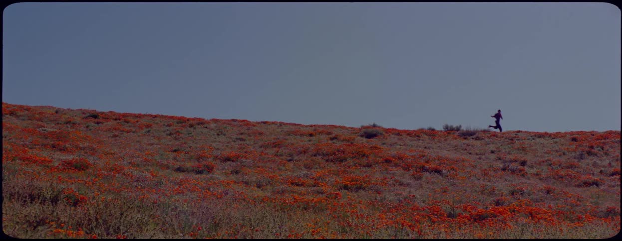 A woman runs and skips across the top of a hill covered in orange flowers