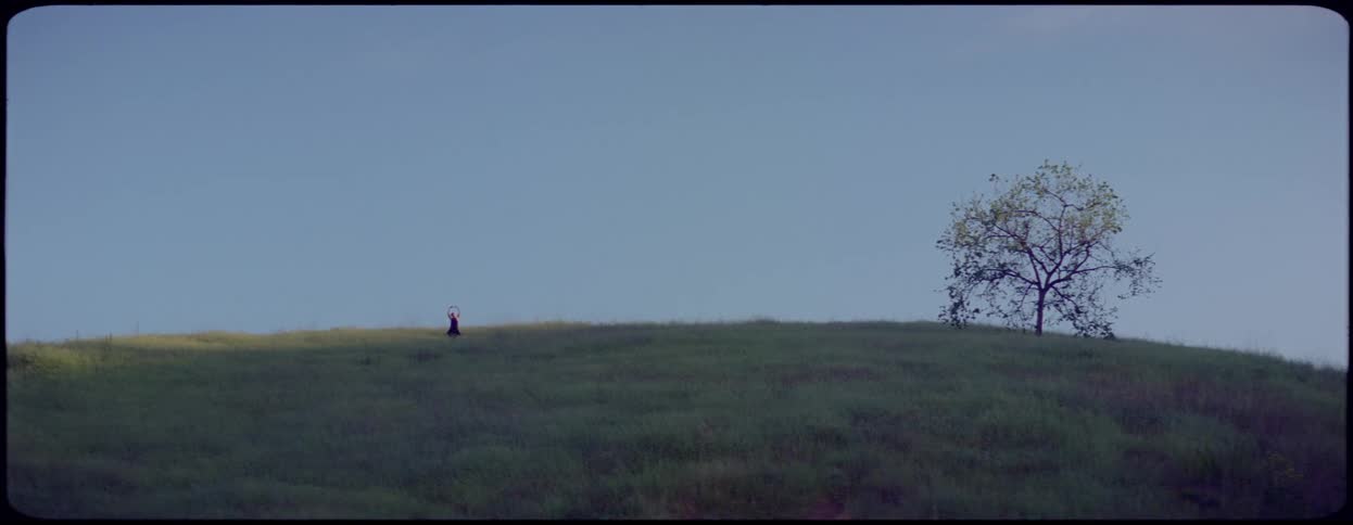 A woman dances in a field holding a single tree during the day