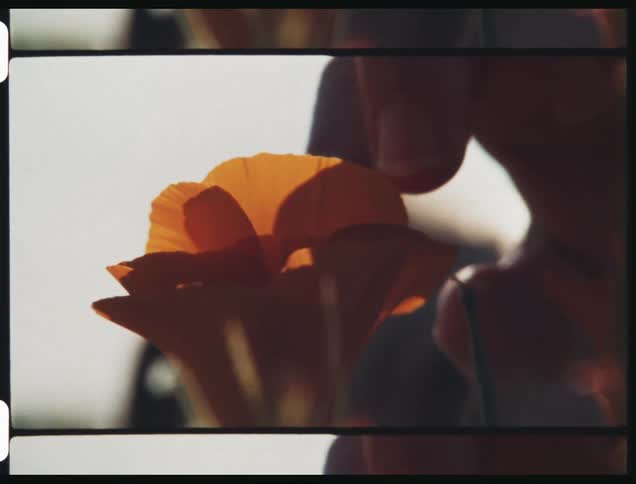 A filmstrip of a person touching a flower