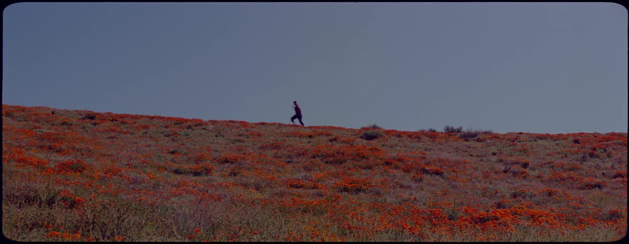 A woman runs and skips across the top of a hill covered in colorful flowers
