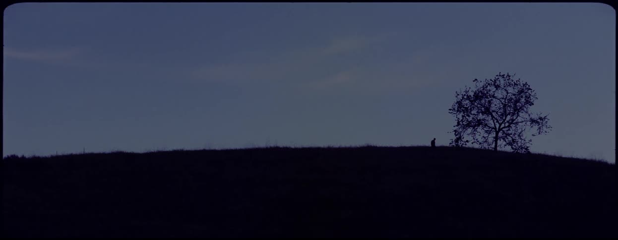 The silhouette of a person walking across a dark hill towards its lone tree in the evening