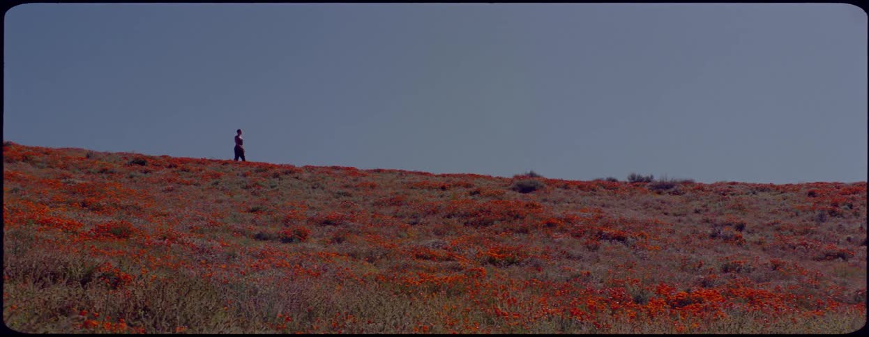 A person runs and skips on the hill