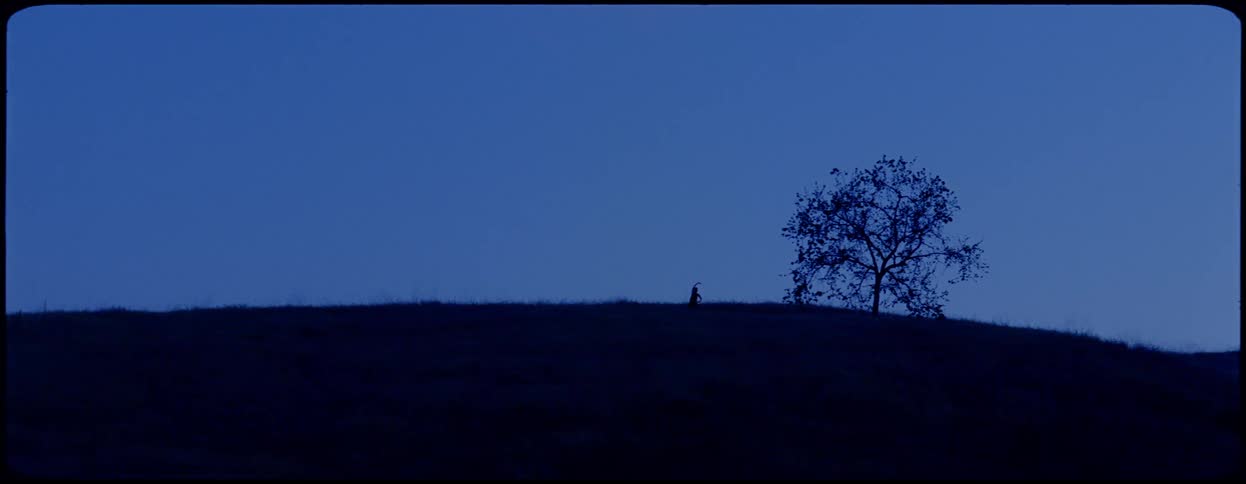 A person exercising on top of a hill