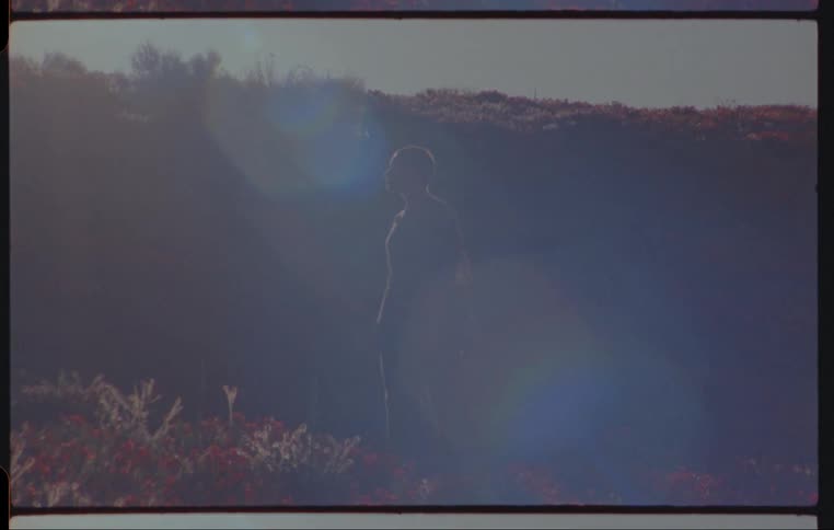 A person is standing on the windy field