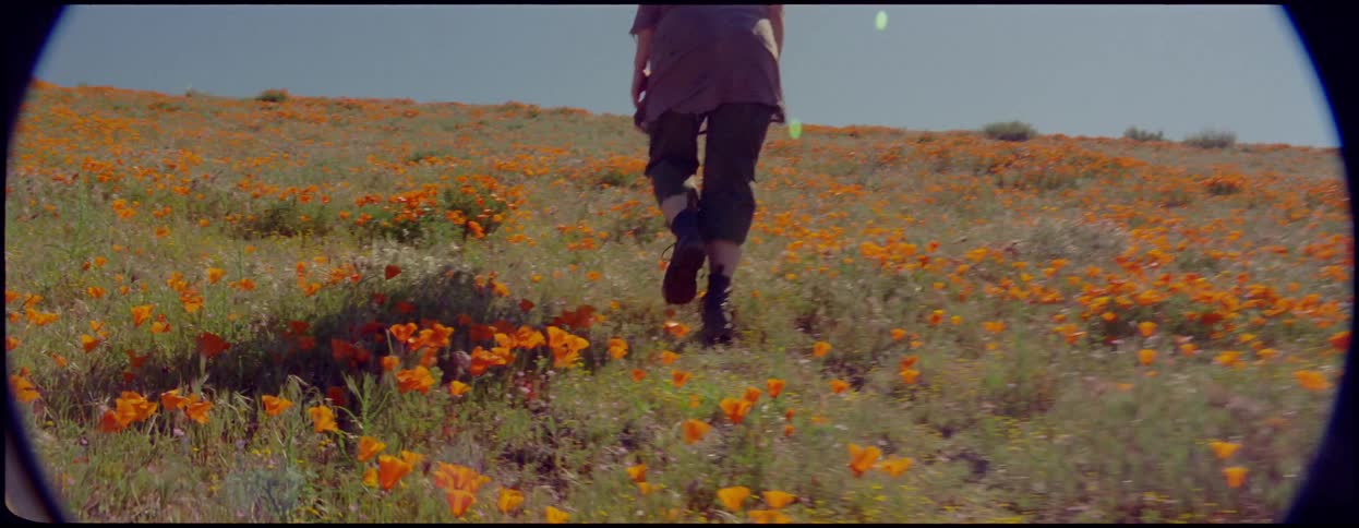 A woman is walking through the meadow in spring