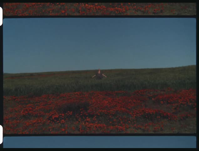 A person spreads their arms wide while standing in a field of tall grass and red flowers
