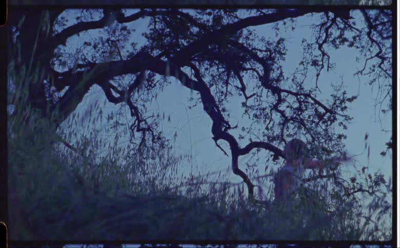A woman is dancing by a large tree on the hill