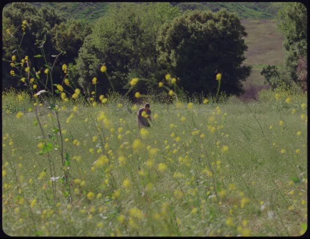 A person stretches and moves while outside in a field surrounded by trees and greenery during the day
