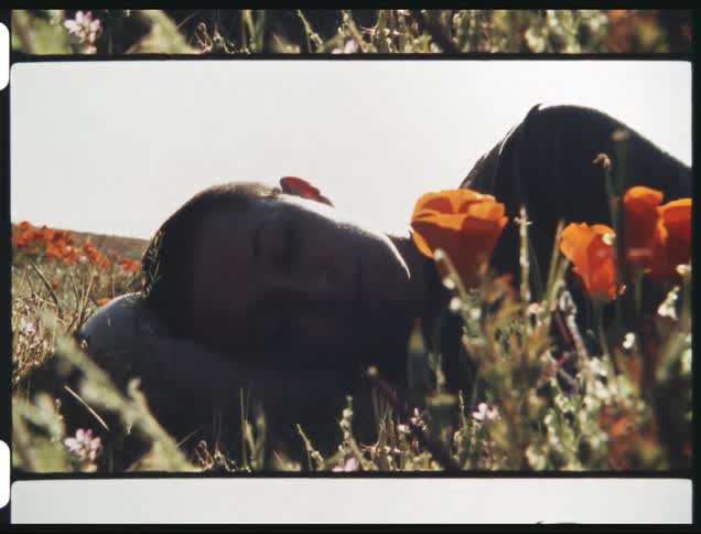 A woman touches the flowers as she lays in the field