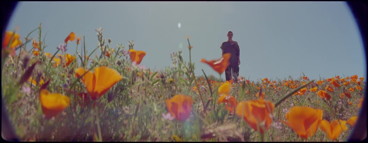 A woman with her shirt hanging off her shoulder stands motionless in a field of yellow flowers during the day