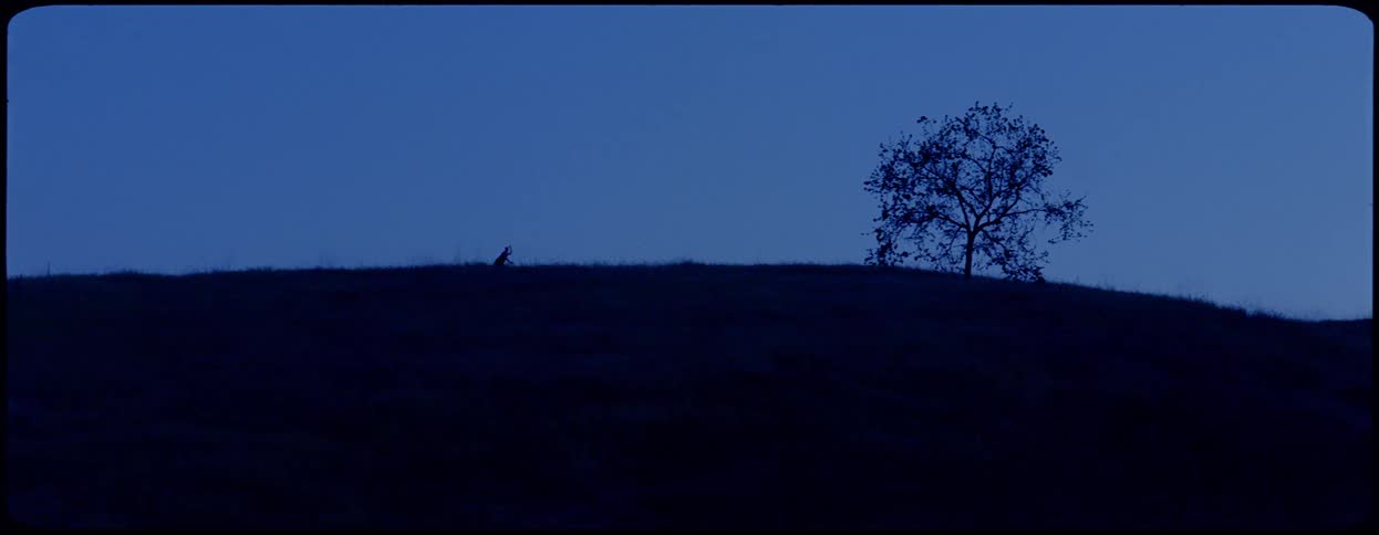 A person exercising on top of a hill