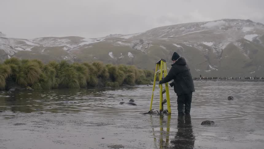 A man with a camera and a ladder on a shore with seals