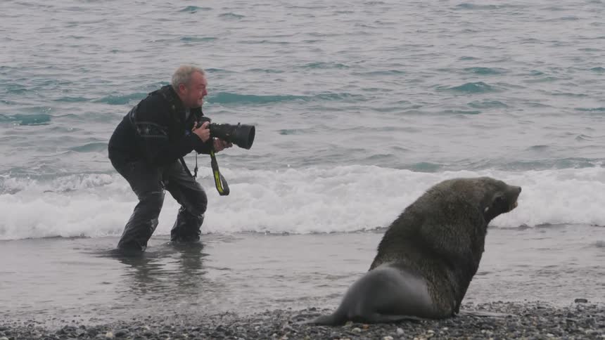 A man with a camera taking pictures on a beach with a seal and a penguin