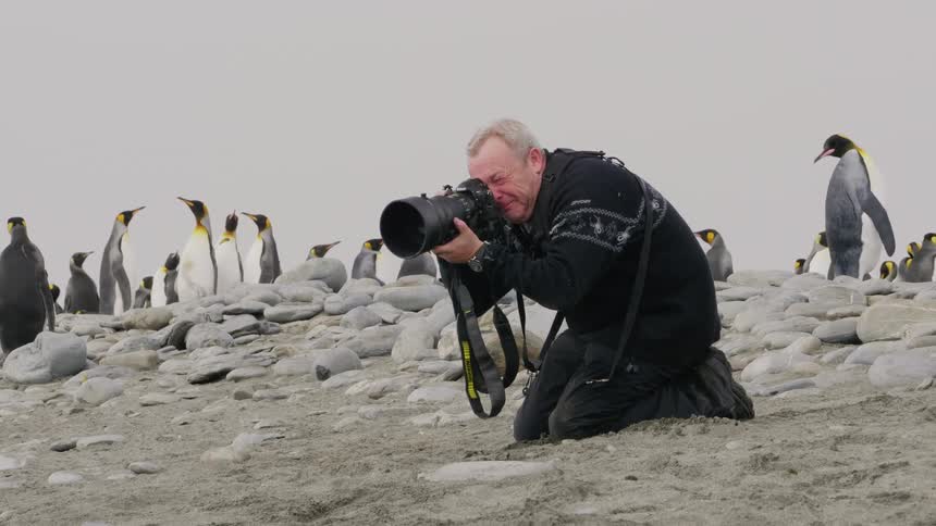 A man kneels to photograph penguins nearby